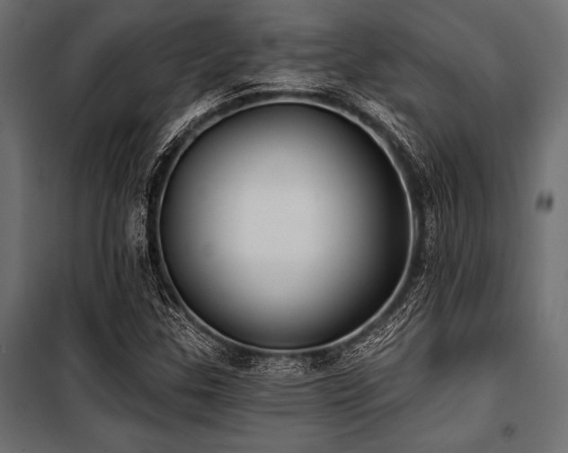 X0000100871307200806201231