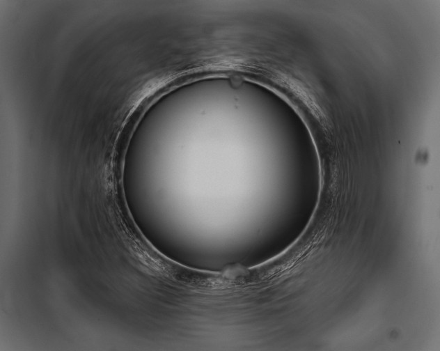 X0000100871308200806201231