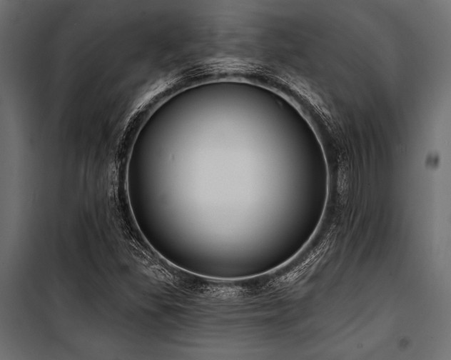 X0000100871309200806201231