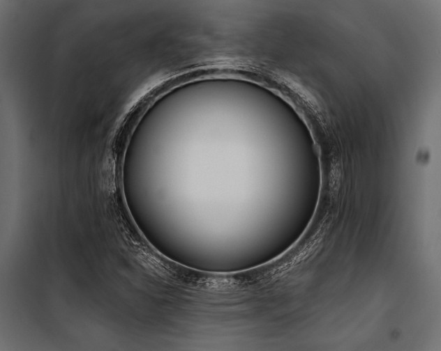 X0000100871310200806201231