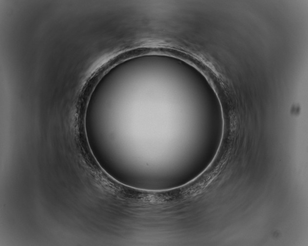 X0000100871311200806201231