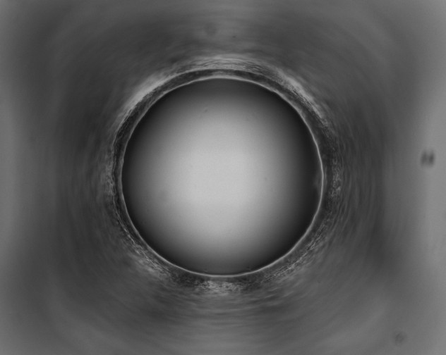 X0000100871312200806201231