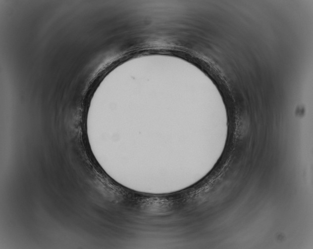 X0000100871314200806201231
