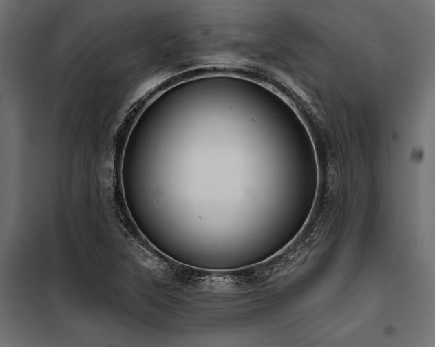 X0000100871315200806201231