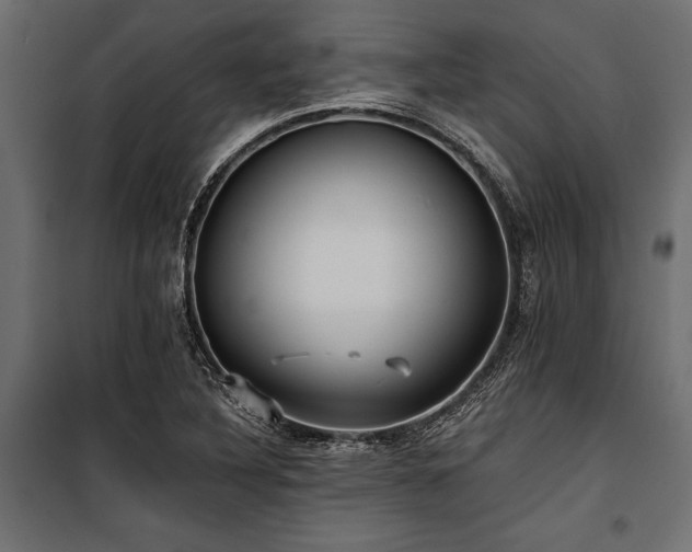 X0000100871316200806201231