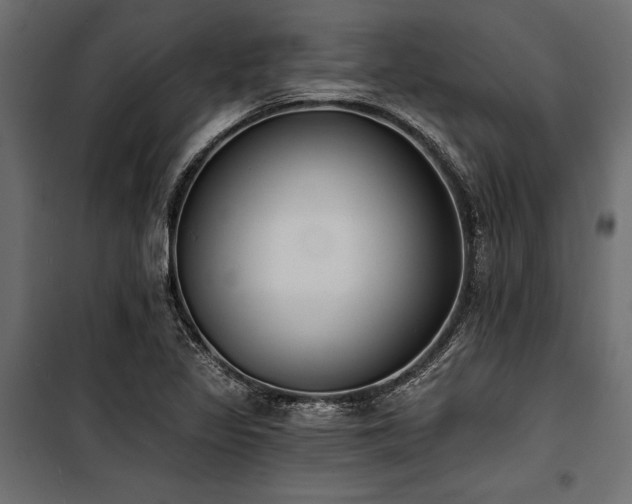 X0000100871317200806201231