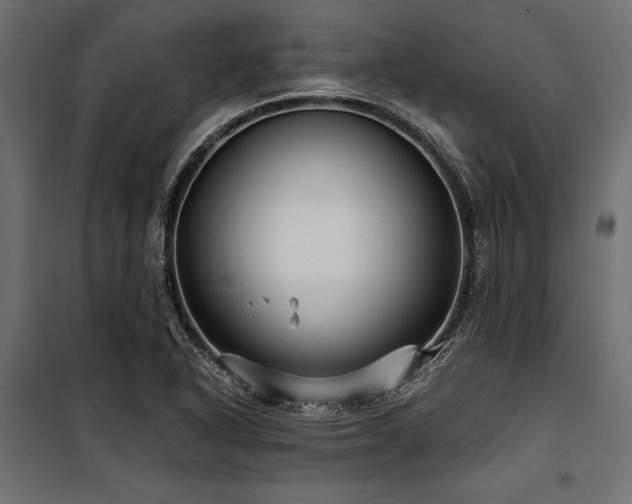X0000100871318200806201231
