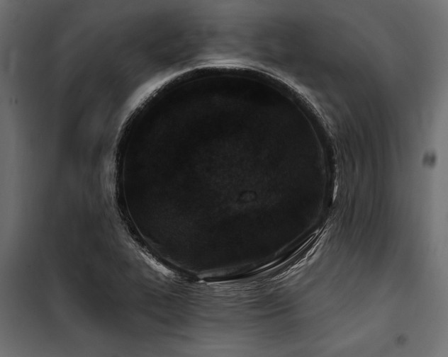 X0000100871319200806201231