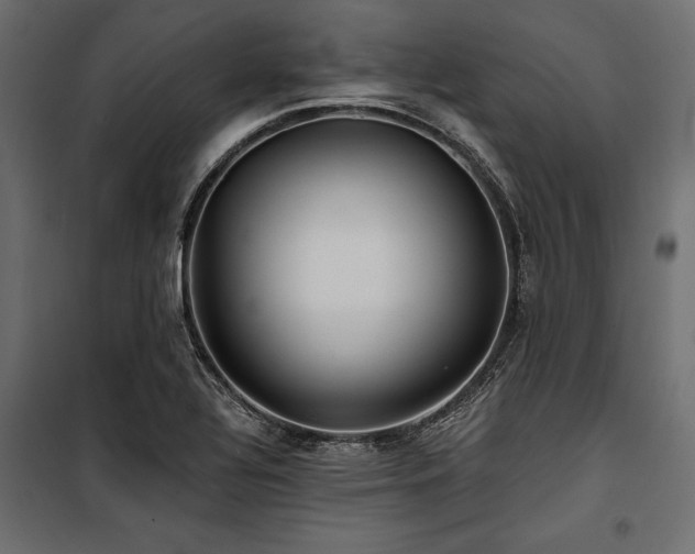 X0000100871320200806201231