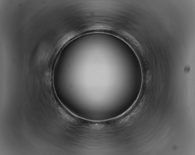 X0000100871321200806201231
