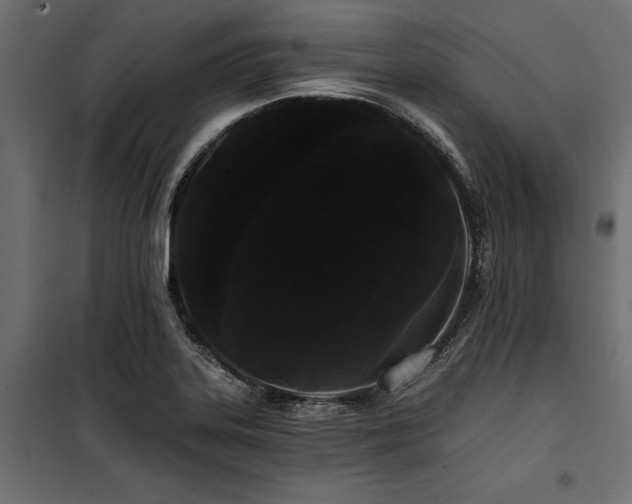 X0000100871323200806201231