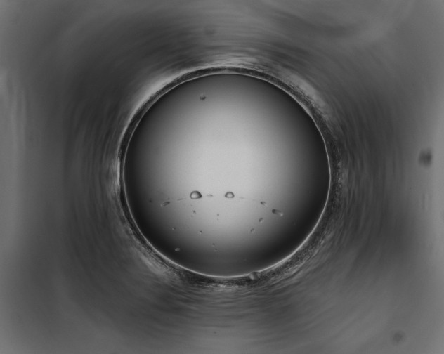 X0000100871324200806201231