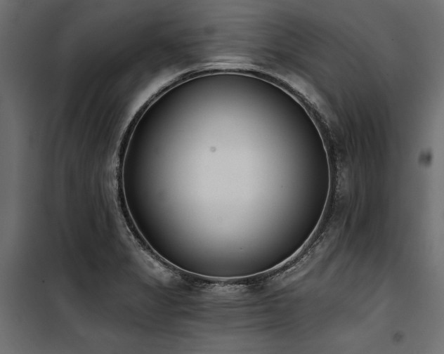 X0000100871325200806201231