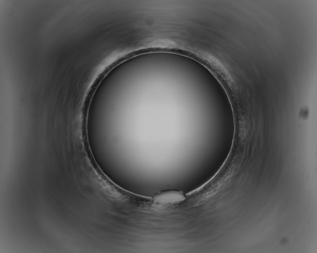 X0000100871326200806201231