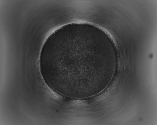 X0000100871327200806201231