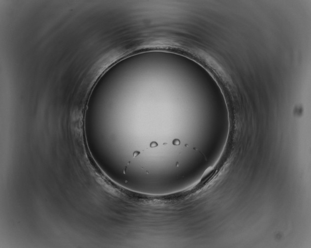 X0000100871329200806201231