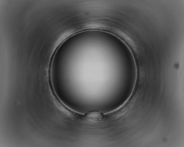 X0000100871330200806201231