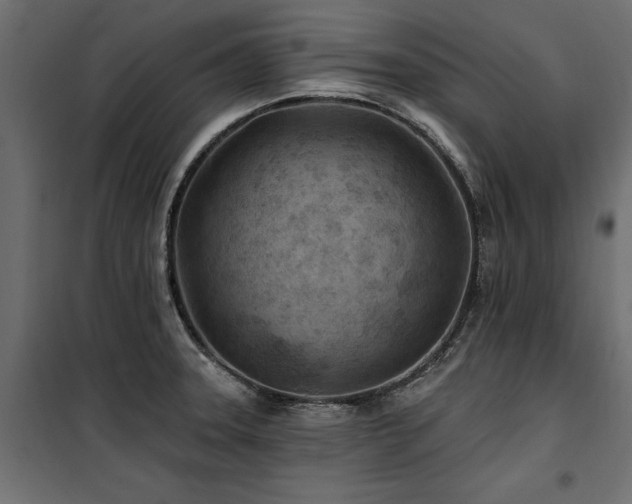 X0000100871331200806201231