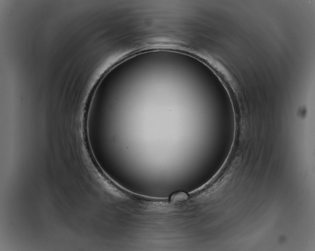 X0000100871333200806201231