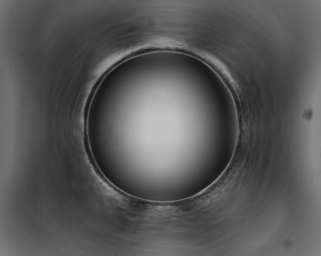 X0000100871335200806201231