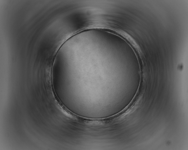 X0000100871337200806201231
