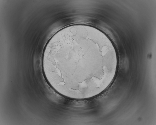 X0000100871338200806201231