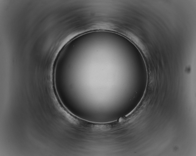 X0000100871339200806201231