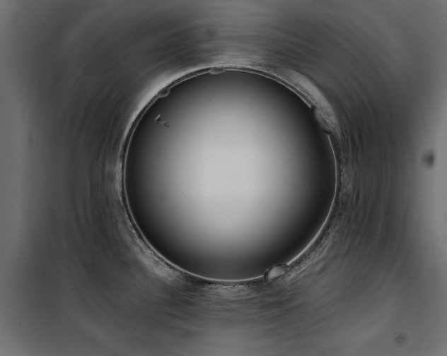 X0000100871340200806201231