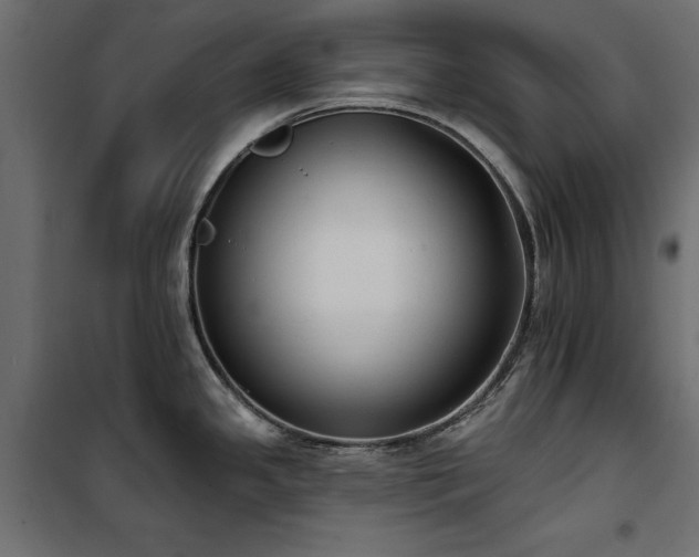 X0000100871341200806201231