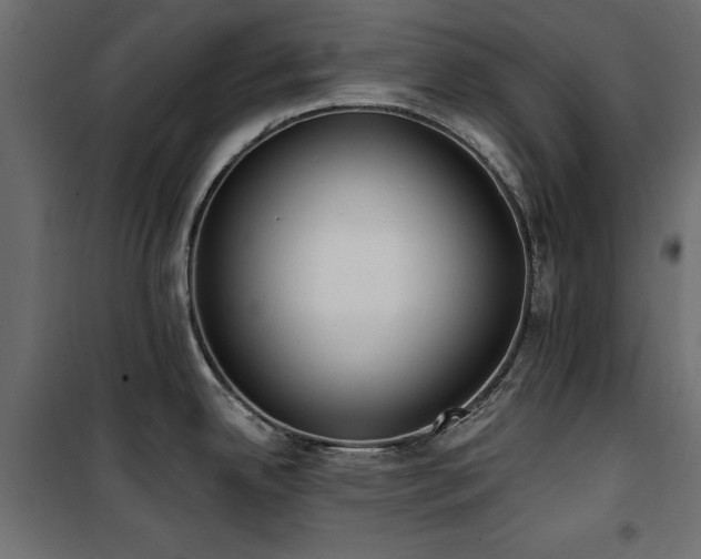 X0000100871342200806201231