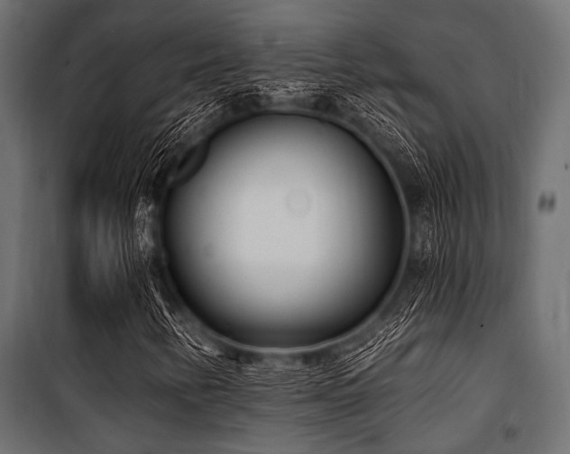 X0000100871346200806201231