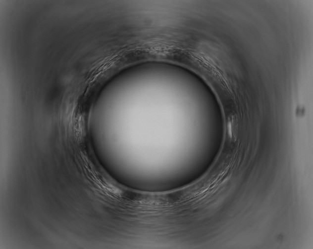 X0000100871347200806201231