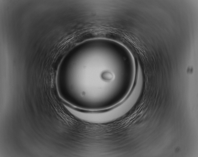 X0000100871348200806201231