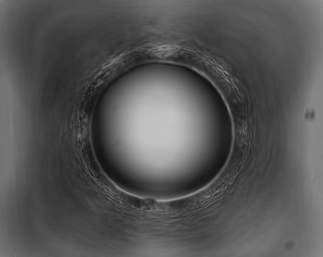 X0000100871349200806201231