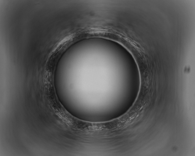 X0000100871351200806201231