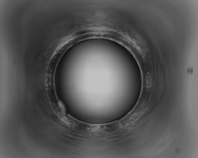 X0000100871352200806201230