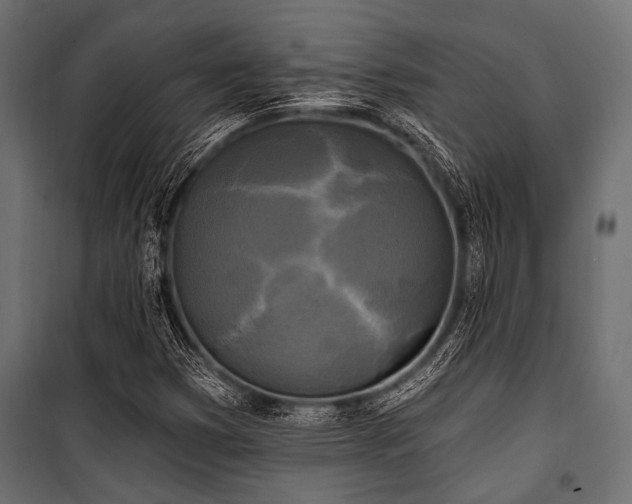 X0000100871353200806201230