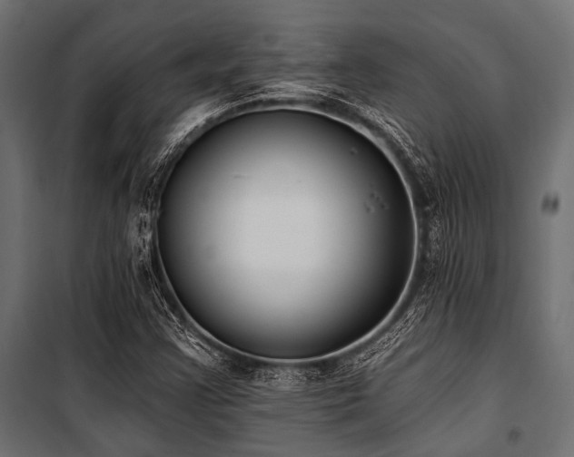 X0000100871355200806201230