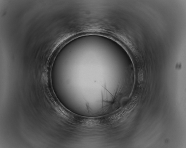 X0000100871356200806201230