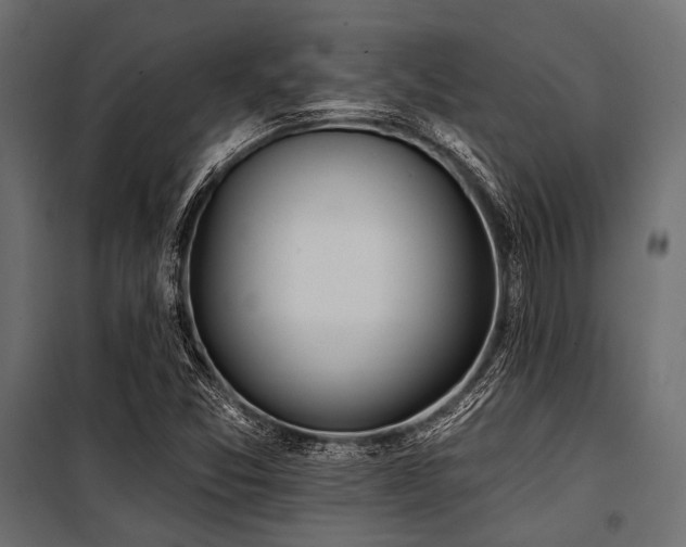 X0000100871357200806201230