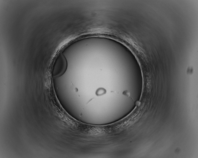 X0000100871358200806201230