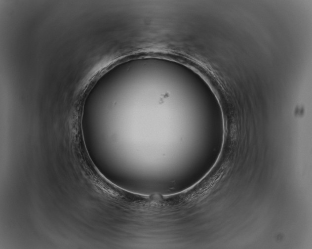 X0000100871359200806201230