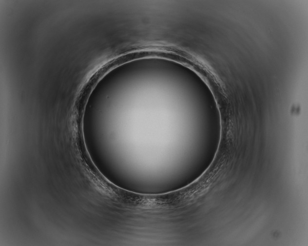 X0000100871360200806201230