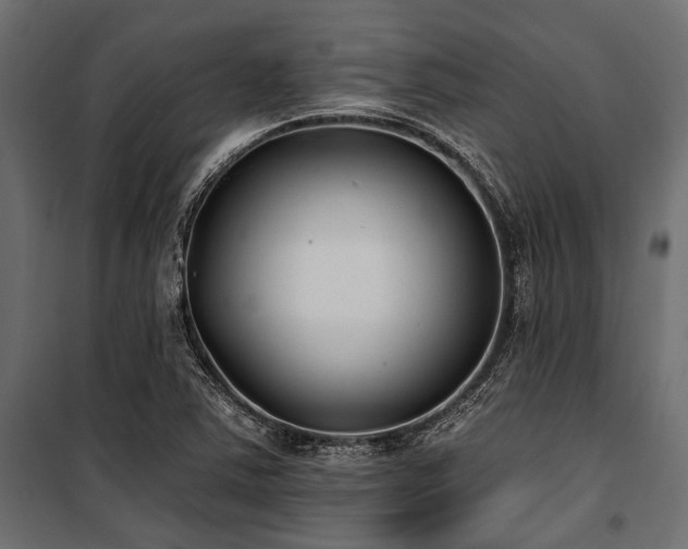 X0000100871363200806201230