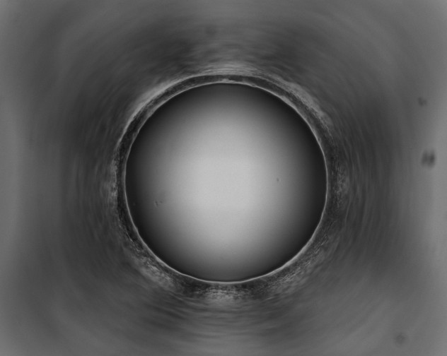 X0000100871364200806201230