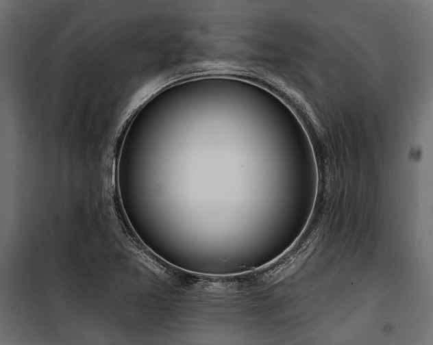 X0000100871365200806201230