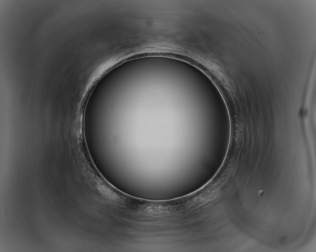 X0000100871366200806201230