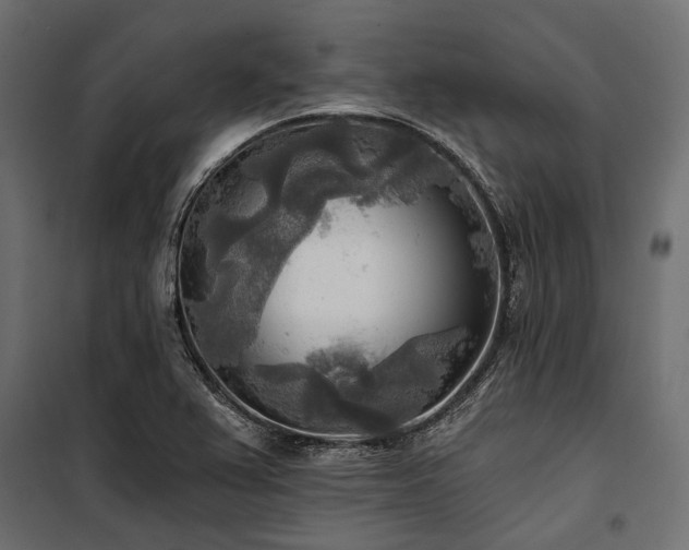 X0000100871367200806201230