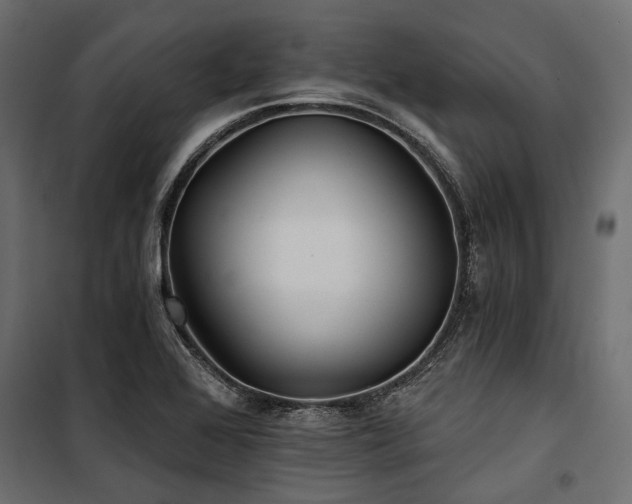 X0000100871368200806201230