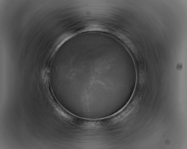 X0000100871369200806201230